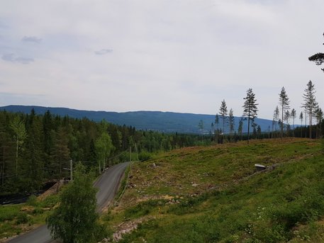 Selskapslokaler på Friland - Harestua - Hadelandsmat 04